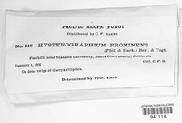 Hysterographium prominens image